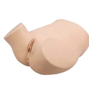 Intelligent Female Catheterization Training Simulator