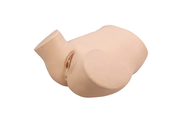 DS-20704 - Intelligent Female Catheterization Training Simulator Intelligent Female Catheterization Training Simulator