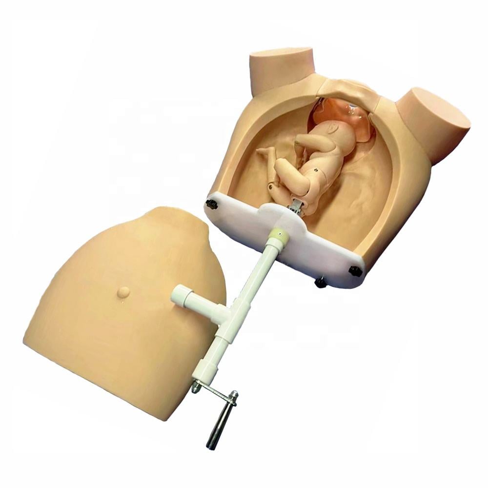 DS-30101 - Manual Delivery Training Simulator Manual Delivery Training Simulator