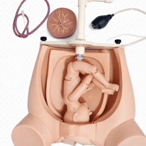 Manual Delivery Training Simulator (with Pelvic Airbag, Placenta & Umbilical Cord)