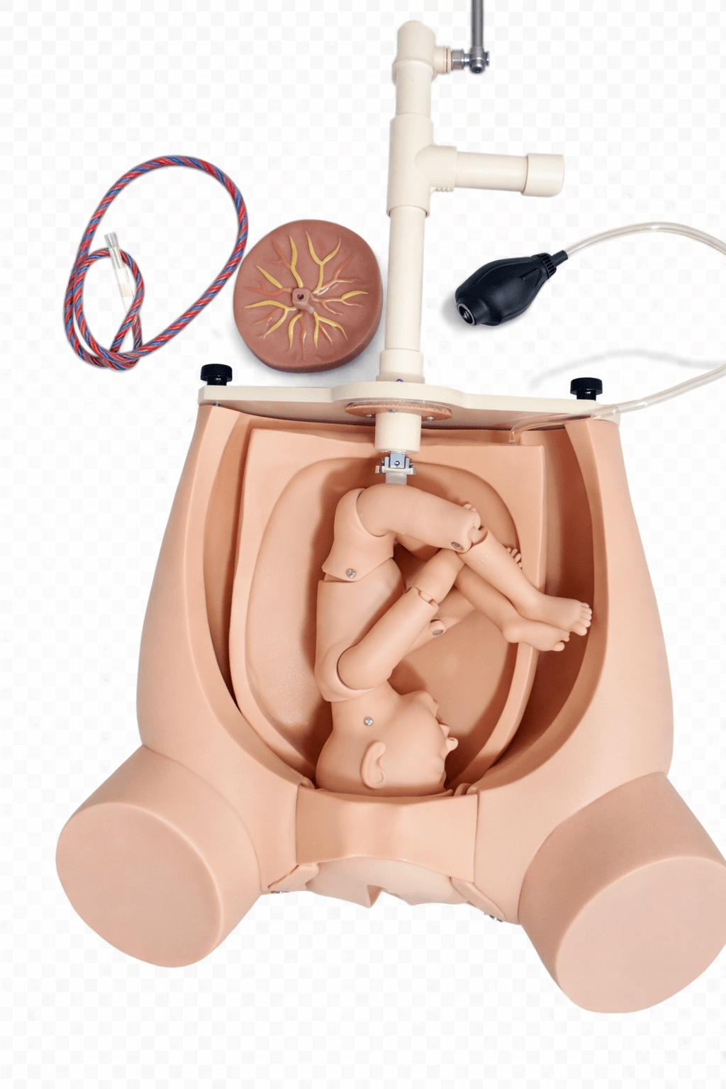 DS-30102 - Manual Delivery Training Simulator (with Pelvic Airbag, Placenta & Umbilical Cord) Manual Delivery Training Simulator (with Pelvic Airbag, Placenta & Umbilical Cord)