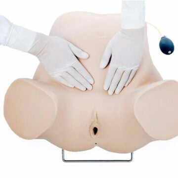 Four-Step Palpation Training Model