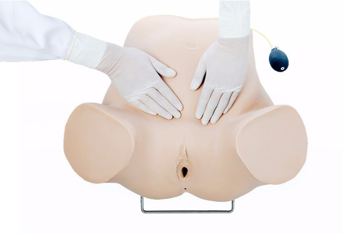 DS-30104 - Four-Step Palpation Training Model Four-Step Palpation Training Model