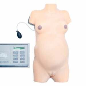 Advanced Obstetric Examination Simulator