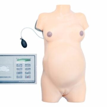 Advanced Obstetric Examination Simulator
