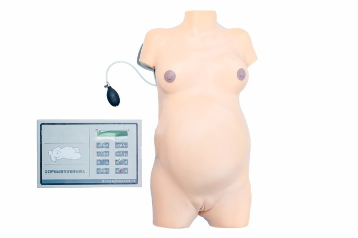 DS-30105 - Advanced Obstetric Examination Simulator Advanced Obstetric Examination Simulator