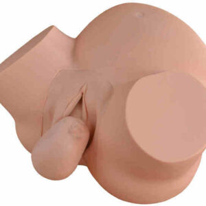 Midwifery Skills Training Simulator