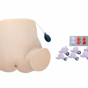 Gynecological Examination Model