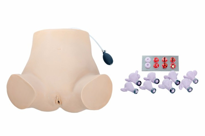 DS-30403 - Gynecological Examination Model Gynecological Examination Model