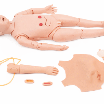 3-Year-Old Pediatric Nursing Training Manikin