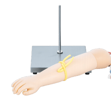 Pediatric Dorsal Vein Infusion Training Model