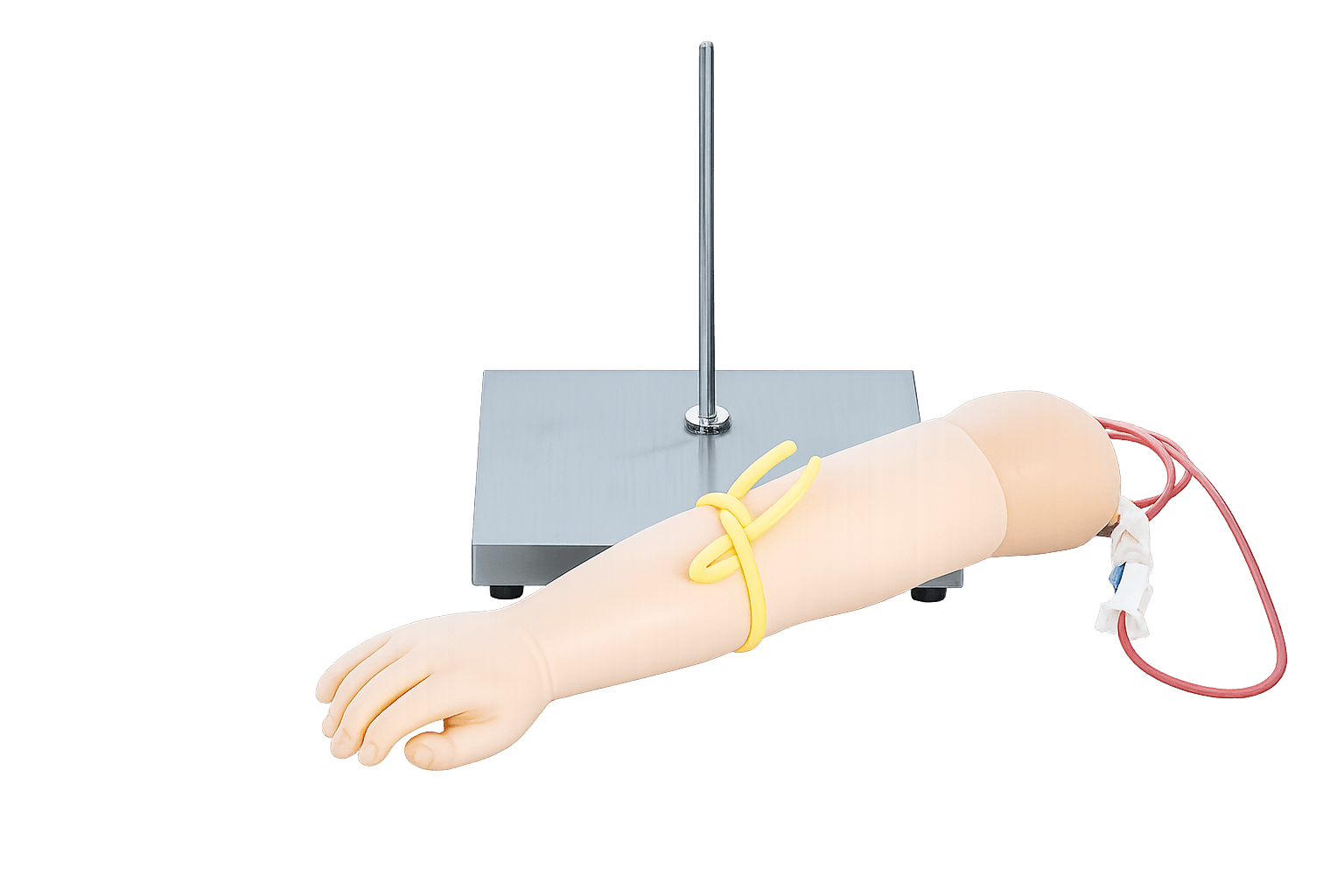 DS-30701 - Pediatric Dorsal Vein Infusion Training Model Pediatric Dorsal Vein Infusion Training Model