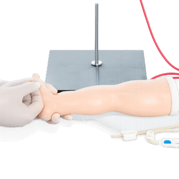 Pediatric Foot Vein Infusion Training Model