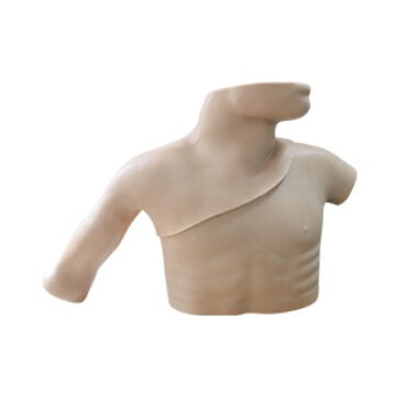 Peripheral & Central Venous Catheterization PICC Simulator