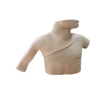 DS-40101 - Peripheral & Central Venous Catheterization PICC Simulator Peripheral & Central Venous Catheterization PICC Simulator
