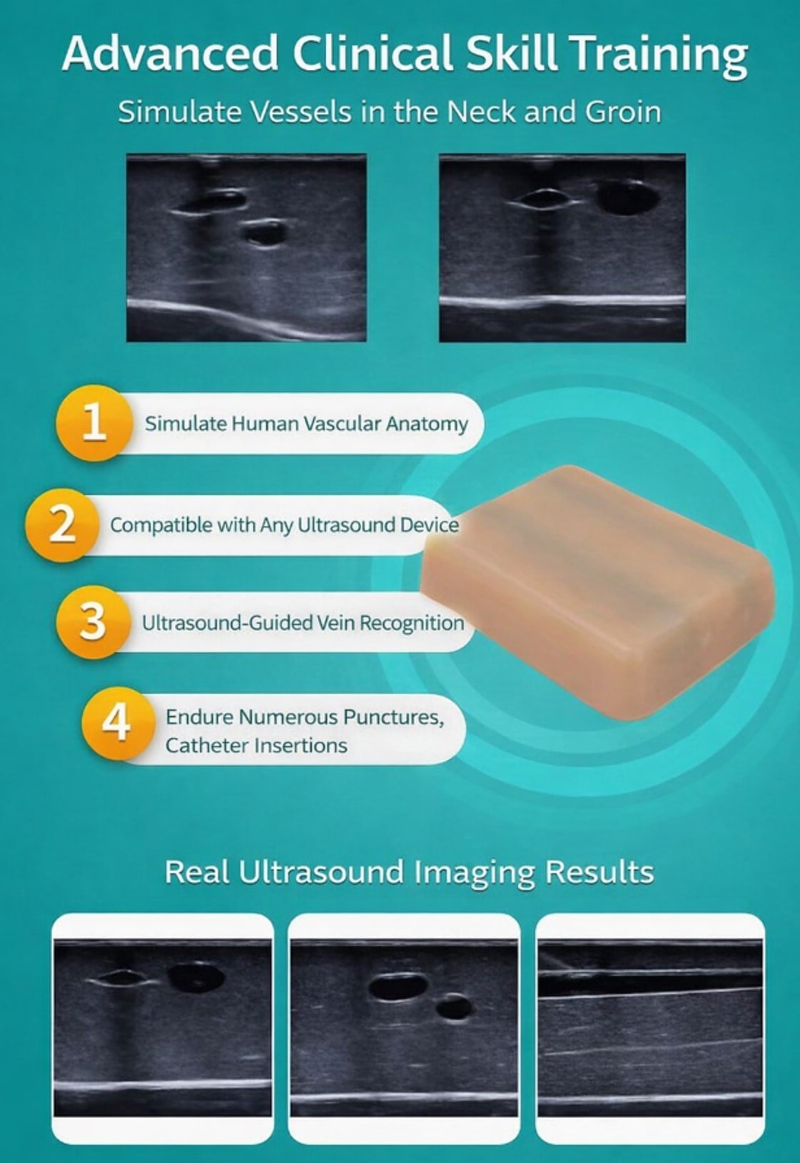 DS-40201 - Ultrasound-Guided Vascular Access Training Model Ultrasound-Guided Vascular Access Training Model