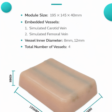 Ultrasound-Guided Vascular Access Training Model