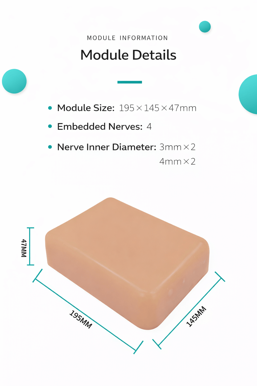 DS-40202 - Ultrasound-Guided Nerve Block Training Model Ultrasound-Guided Nerve Block Training Model