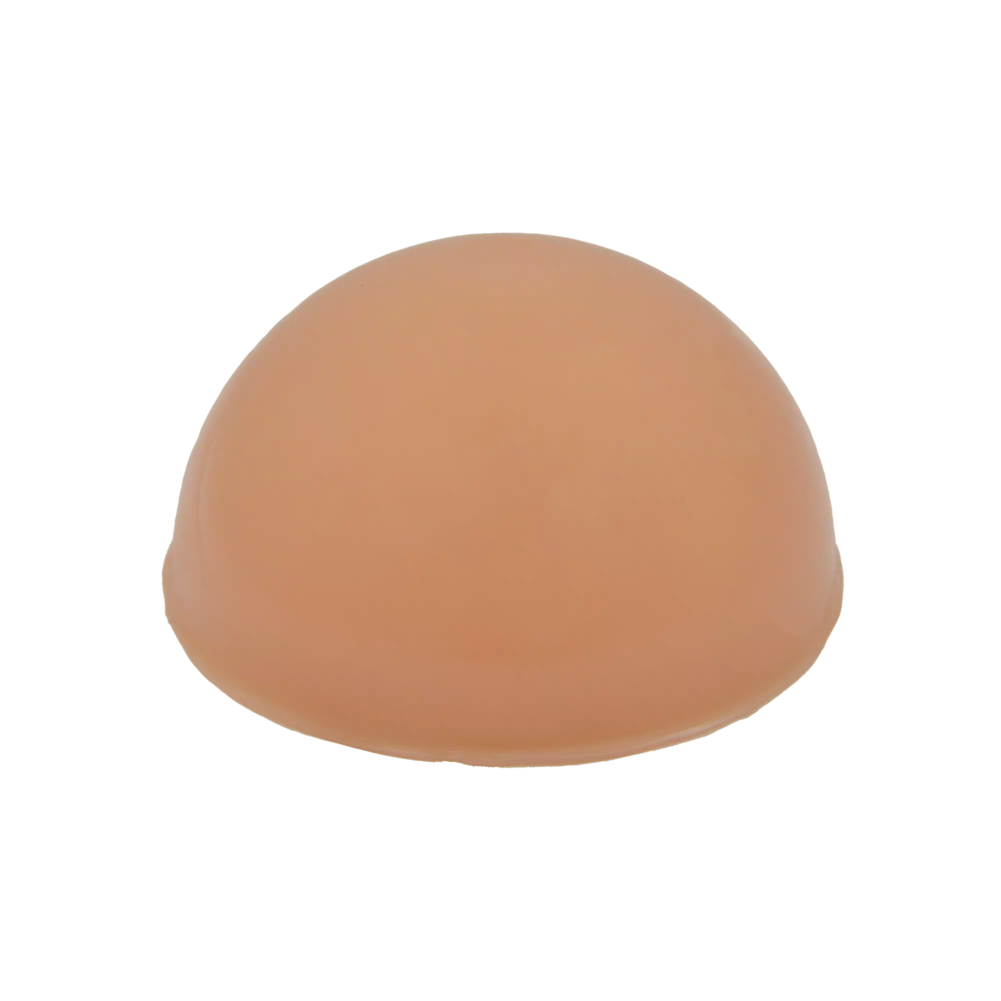 DS-40203 - Breast Ultrasound-Guided Biopsy Training Model Breast Ultrasound-Guided Biopsy Training Model