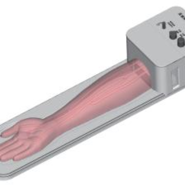 Ultrasound-Guided Radial Artery Puncture Model