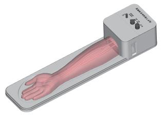 DS-40301 - Ultrasound-Guided Radial Artery Puncture Model Ultrasound-Guided Radial Artery Puncture Model