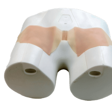 Ultrasound-Guided Femoral Artery Puncture Model