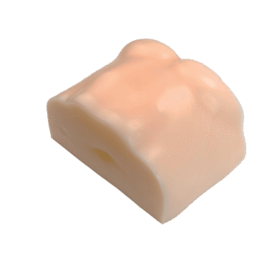 Ultrasound-Guided Liver Puncture Model