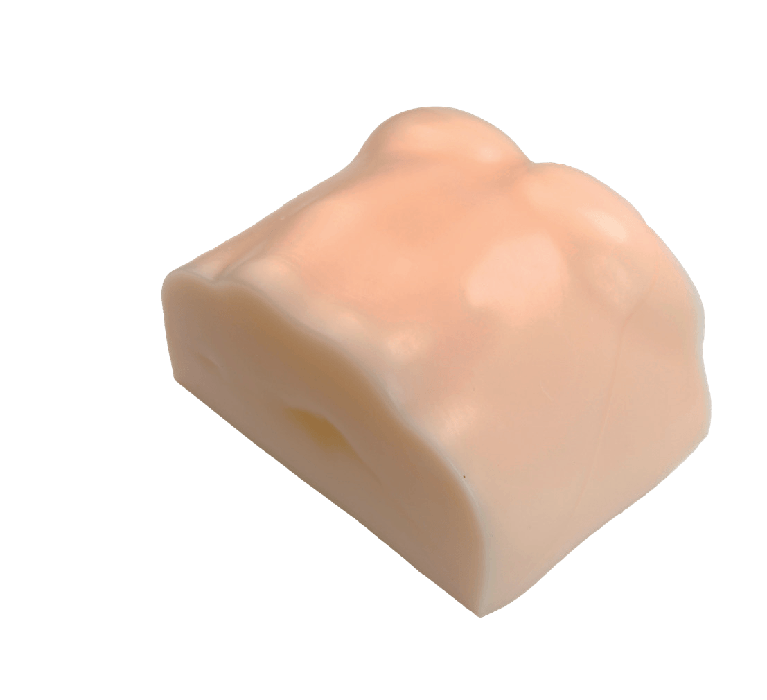 DS-40303 - Ultrasound-Guided Liver Puncture Model Ultrasound-Guided Liver Puncture Model