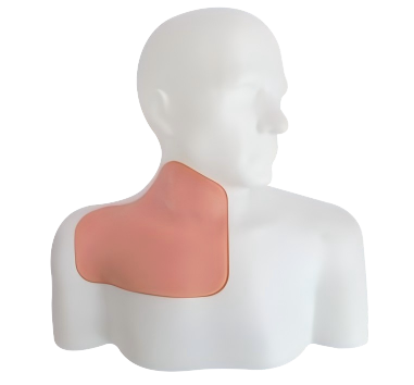 DS-40309 - Ultrasound-Guided Central Venous Access Model Ultrasound-Guided Central Venous Access Model