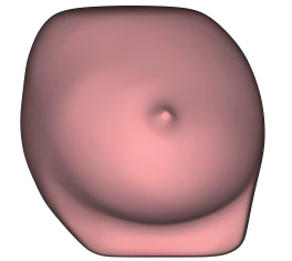 DS-40404 - Ultrasound-Guided Breast Biopsy Model Ultrasound-Guided Breast Biopsy Model
