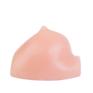 Ultrasound-Guided Breast Biopsy Model