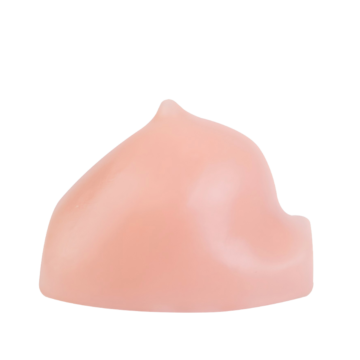 Ultrasound-Guided Breast Biopsy Model