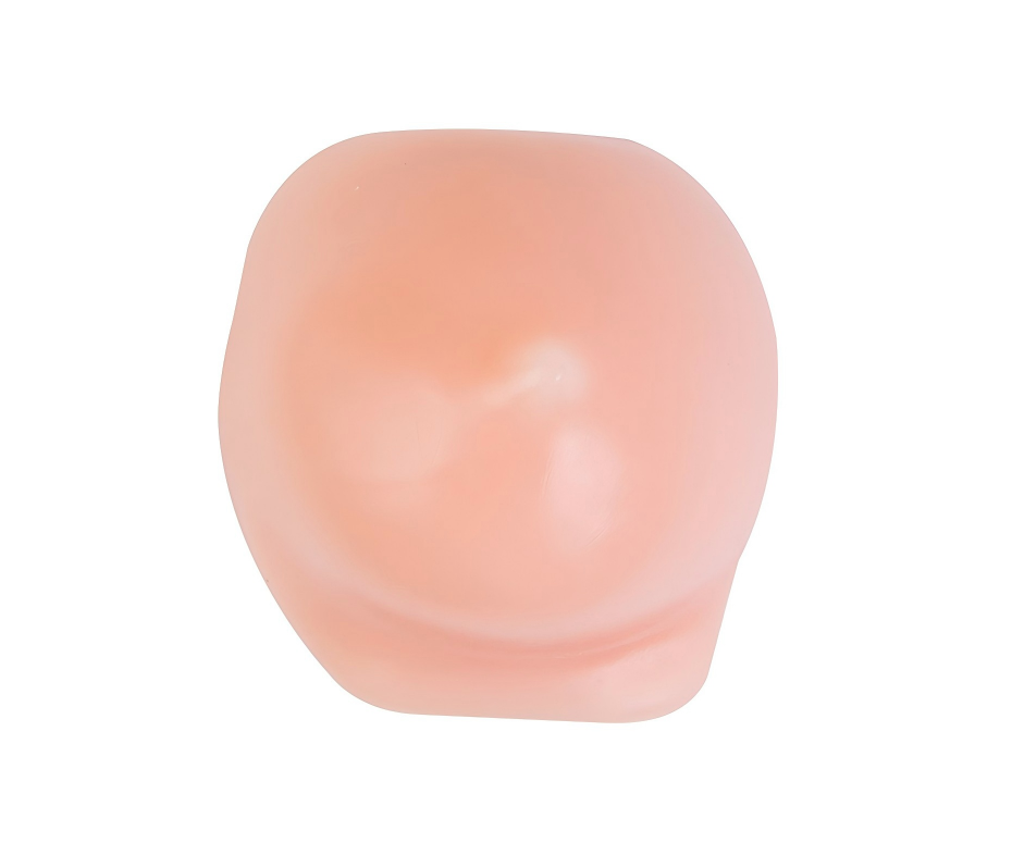 DS-40405 - Ultrasound-Guided Breast Biopsy Model (Advanced) Ultrasound-Guided Breast Biopsy Model (Advanced)