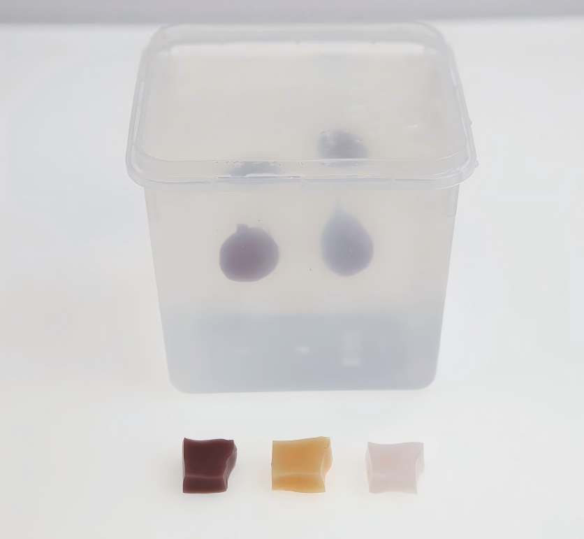 DS-40406 - Visualizable Ablation Training Phantom Visualizable Ablation Training Phantom