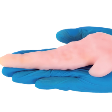 Pancreaticojejunostomy Training Model