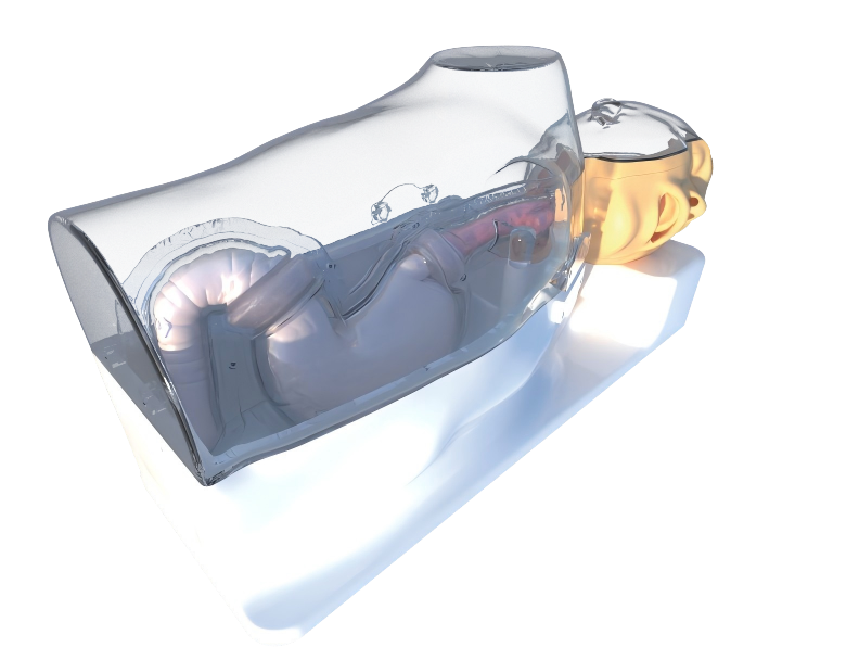 DS-40430 - Gastroscopy Training Model (Advanced) Gastroscopy Training Model (Advanced)