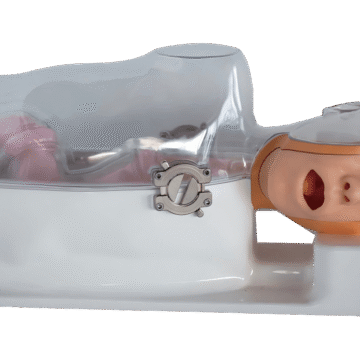 Gastroscopy Training Model (Advanced)