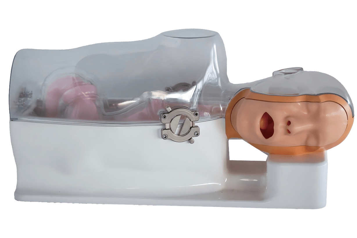 DS-40430 - Gastroscopy Training Model (Advanced) Gastroscopy Training Model (Advanced)