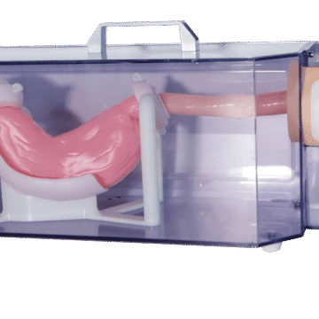 Gastroscopy Training Model (Basic)