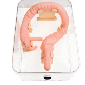 Colon Practice Model