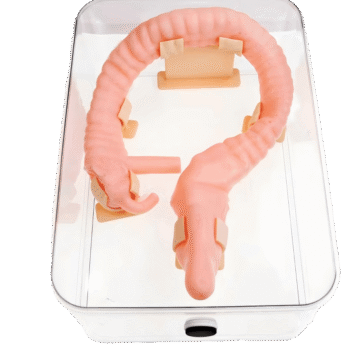 Colon Practice Model