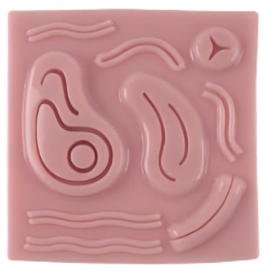 3D Suture Module