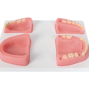 Dental Suturing Module, type I