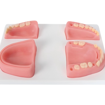Dental Suturing Module, type I