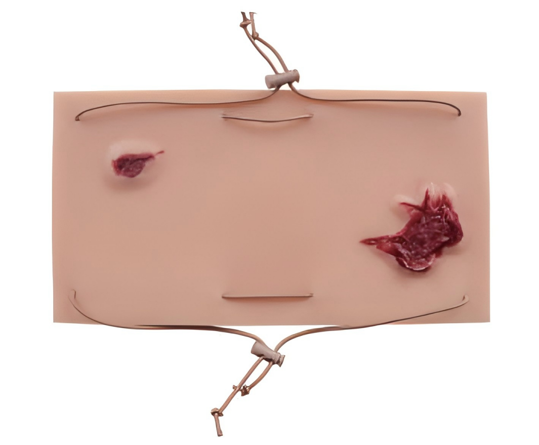 DS-40565 - Major Gunshot Wound Bleeding Control Training Module Major Gunshot Wound Bleeding Control Training Module